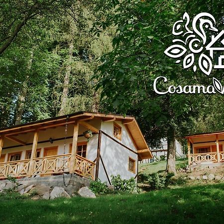 Cosama Village Sighisoara Luaran gambar