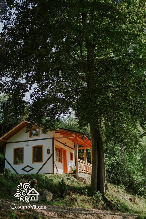 Cosama Village Sighisoara Luaran gambar